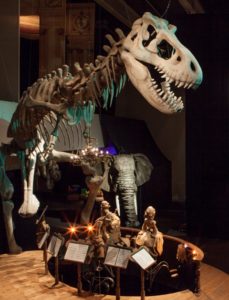 Exposición ‘De la caverna al cine: un viaje a través de los títeres’, por Títeres Etcétera @ Espacio Cultural Mira | Pozuelo de Alarcón | Comunidad de Madrid | España