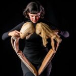 IV – Parque de las Marionetas 2025, Zaragoza: Coriolis, Almozandia, Caleidoscopio, Apikipala